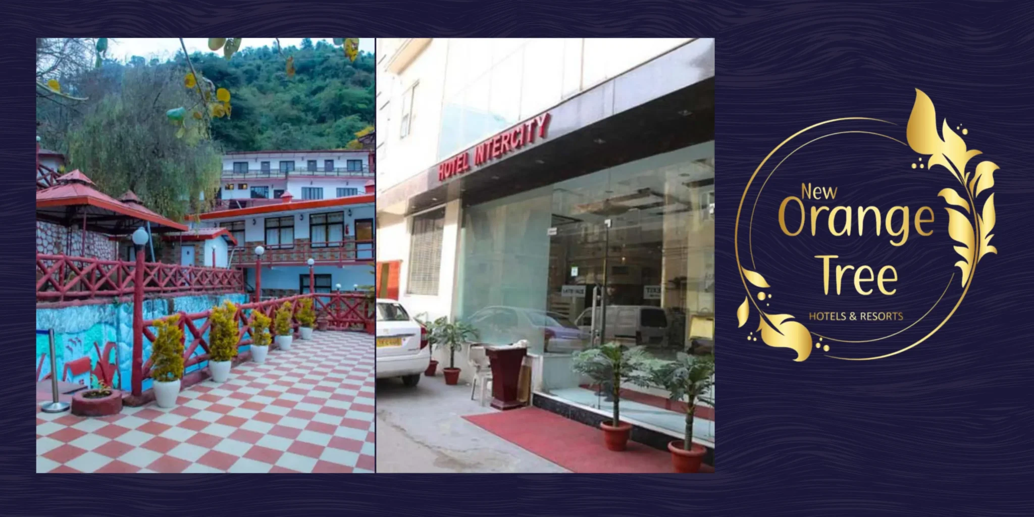 New Orange Tree Hotels and Resort - Our Hotels